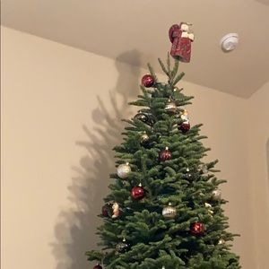 Meet your Posher, Janet